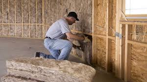 Best Basement Insulation  in Springfield, MI