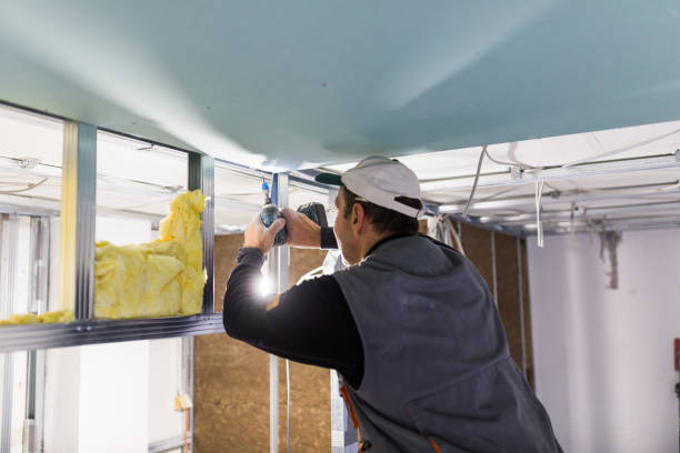 Best Insulation for New Construction  in Springfield, MI