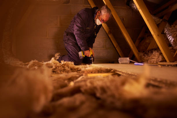 Best Blown-In Insulation  in Springfield, MI