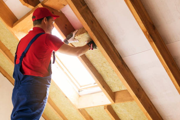 Best Attic Insulation Installation  in Springfield, MI